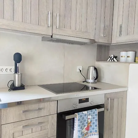 Iris Complex Vilă *