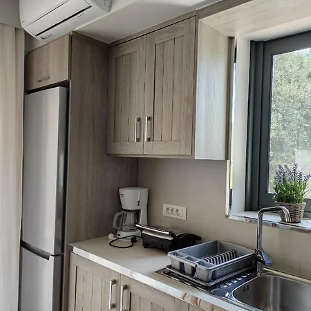 Iris Complex * Frínion