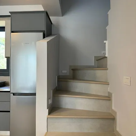 Iris Complex * Frínion