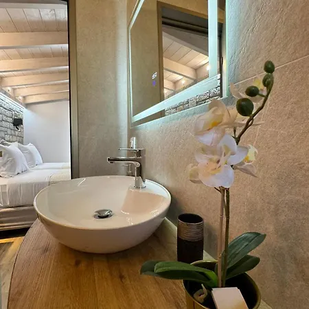 Iris Complex Vilă *