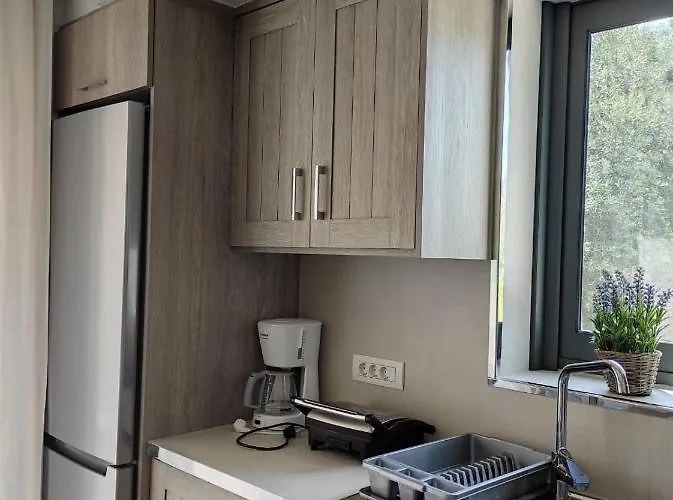 Iris Complex * Frínion