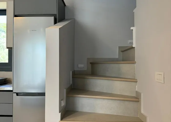 Iris Complex * Frínion